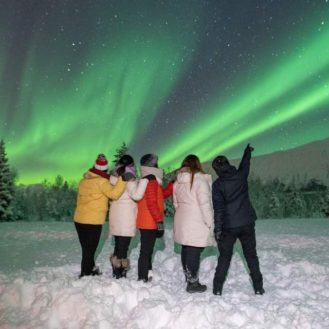 AURORAS BOREALES